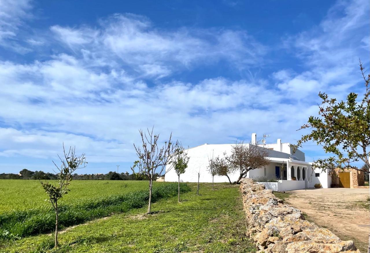 Can Marianet San Ferrán de ses Roques Exteriör bild